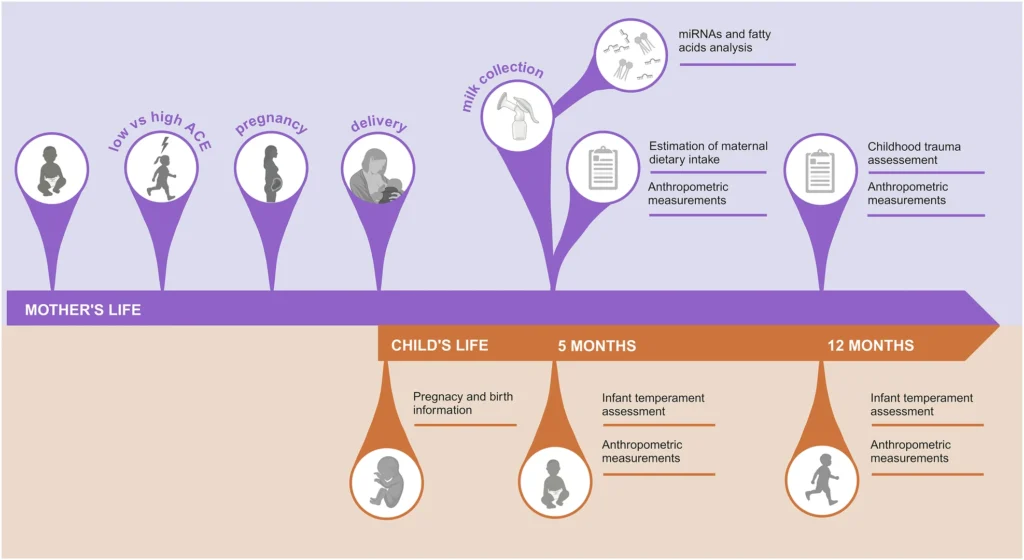 Graficzne podsumowanie procedur badawczych.