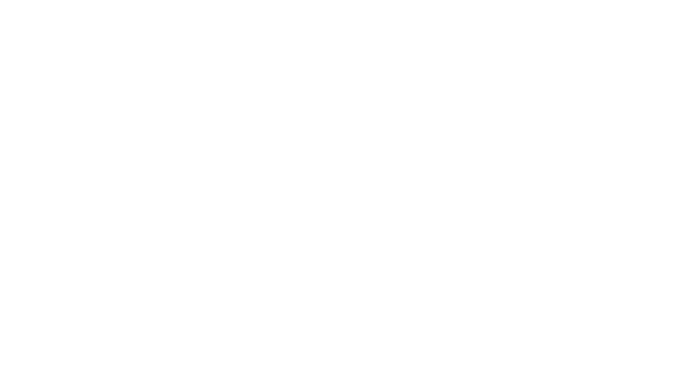Logotyp strony internetowej DomKopernika.pl pełniący funkcję przycisku.