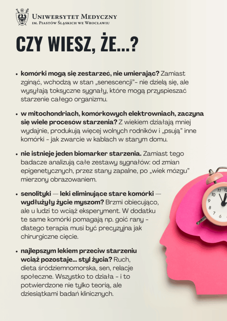 ulotka dot. starzenia