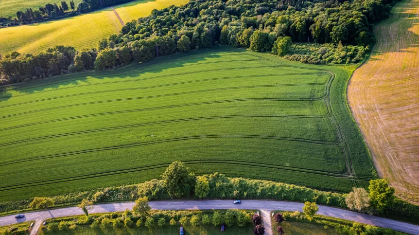 Widok z lotu ptaka na różnorodny krajobraz rolniczy. Duże, żywo zielone pole uprawne z widocznymi, równoległymi śladami graniczy z gęstym lasem i żółtym polem, prawdopodobnie dojrzałym lub po zbiorach. Na pierwszym planie wije się droga asfaltowa, wzdłuż której rosną drzewa i widać kilka zaparkowanych samochodów.