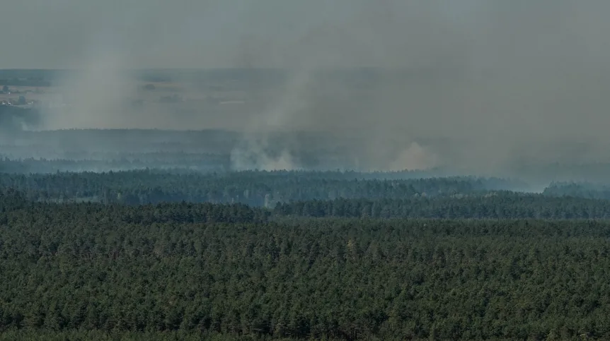 Rozległy las, nad którym unosi się gęsty dym z wielu ognisk pożarów. Krajobraz w oddali jest mocno zadymiony.
